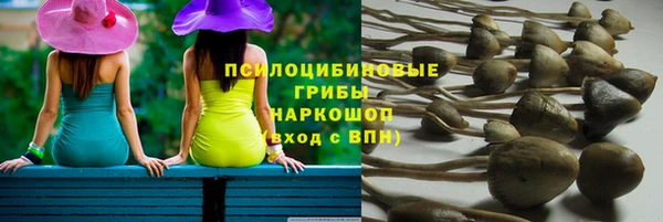 бошки Аркадак