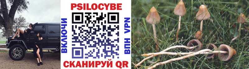 Псилоцибиновые грибы GOLDEN TEACHER Бежецк