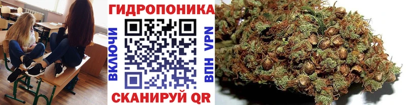 Бошки марихуана конопля  Бежецк 
